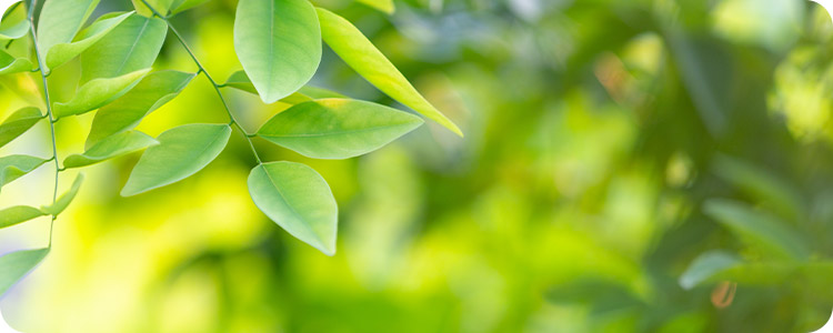 スマホ ワンルーフが運営するグループホームの施設・料金案内